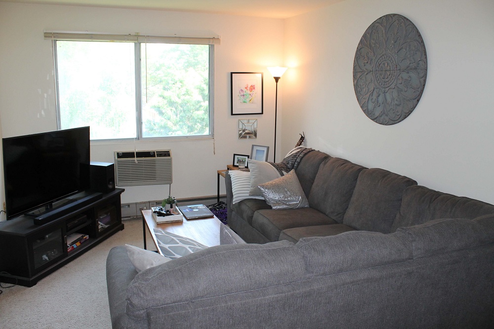 Bassettville Apartments Madison Campus & Downtown Apartments