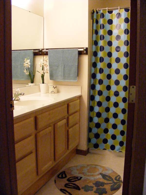 College Park and Springbrook Row Apartments Madison Campus & Downtown